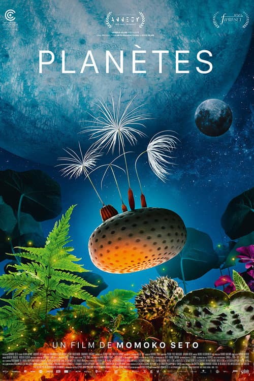 Dandelion’s Odyssey