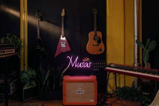 Ciclo Musas