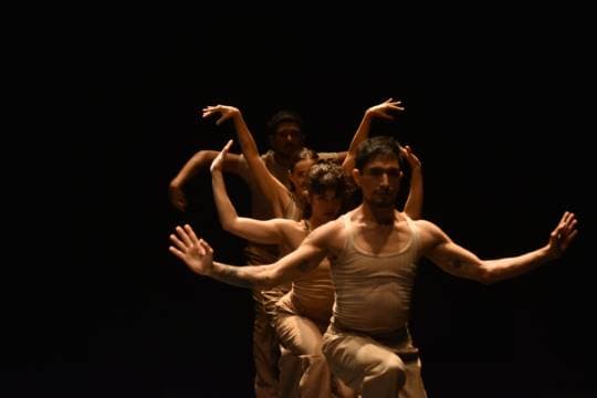 Querida Danza, dos puntos