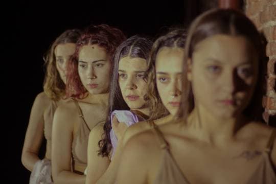Enraizadas, contando historias