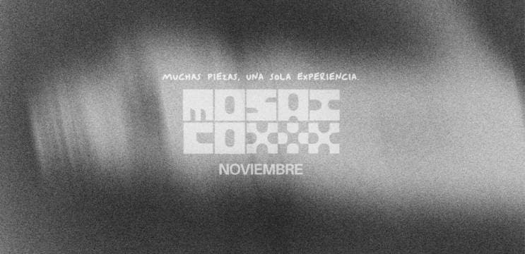 MOSAICO NOVIEMBRE - Ciclo de obras cortas