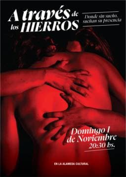 A través de los hierros